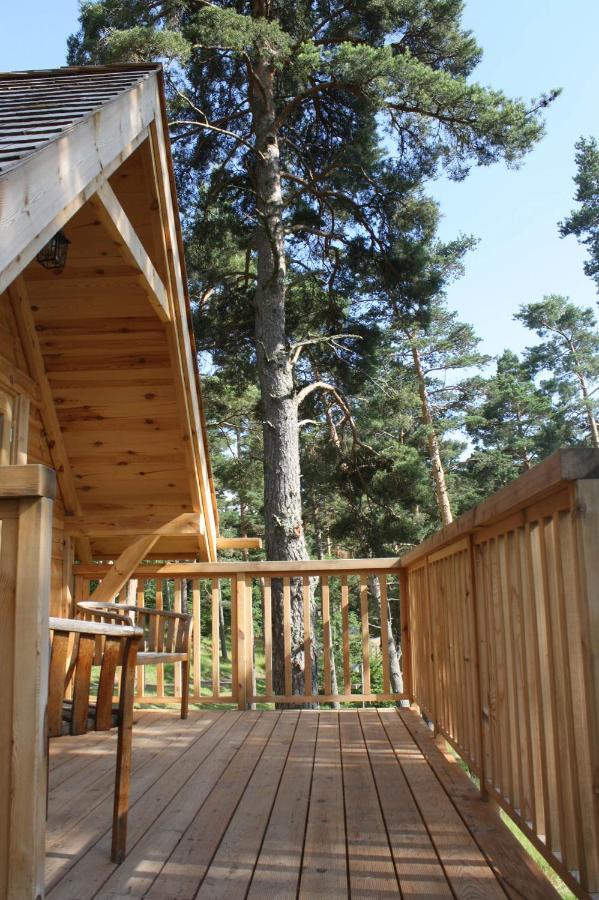 Cabane Lodge Domaine Du Lac Chambon مورول المظهر الخارجي الصورة