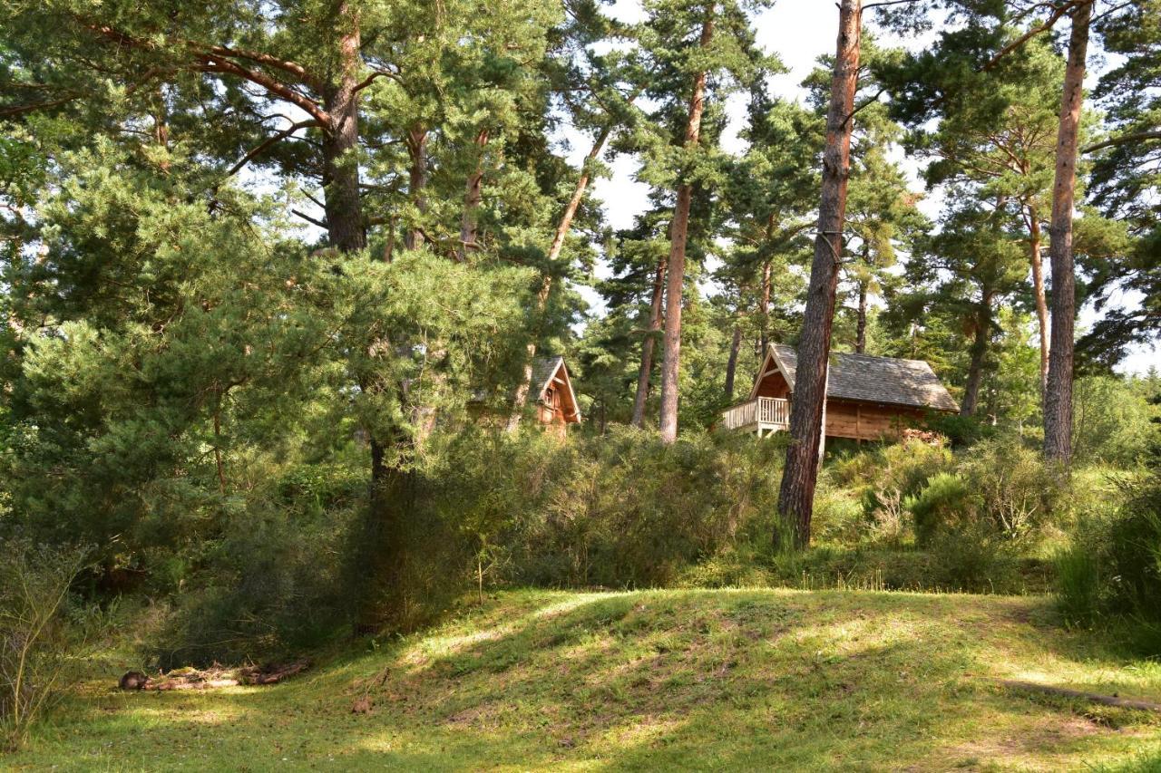 Cabane Lodge Domaine Du Lac Chambon مورول المظهر الخارجي الصورة